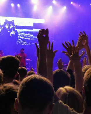 The Brokes - The Strokes Experience