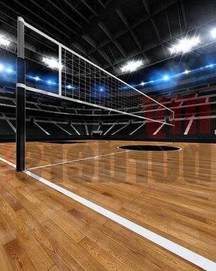 Minnesota Golden Gophers Women's Volleyball vs. Wisconsin Badgers