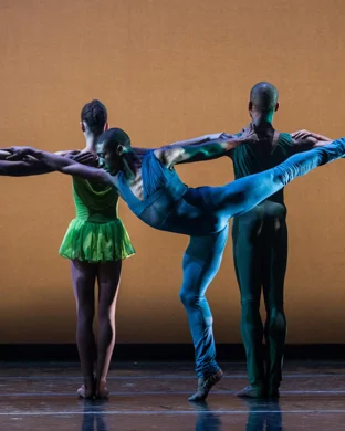 Pilobolus: Trips